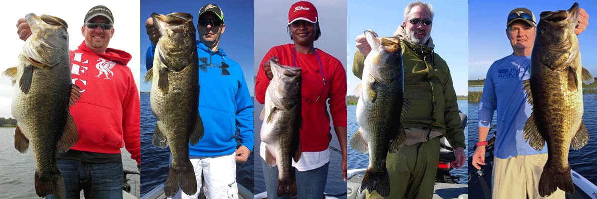 Trophy Bass Caught in Orlando Area