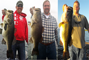 St Johns River Guide