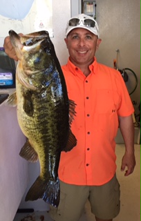 the orlando bass guide